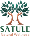 satule logo web